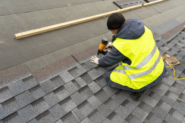 Best Gutter Installation and Roofing  in Homestead, PA